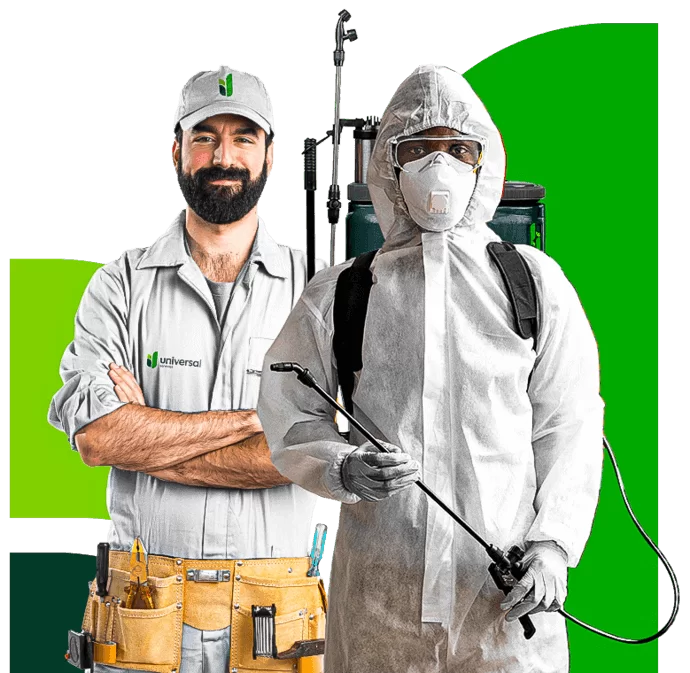 Dedetizadora e Desentupidora